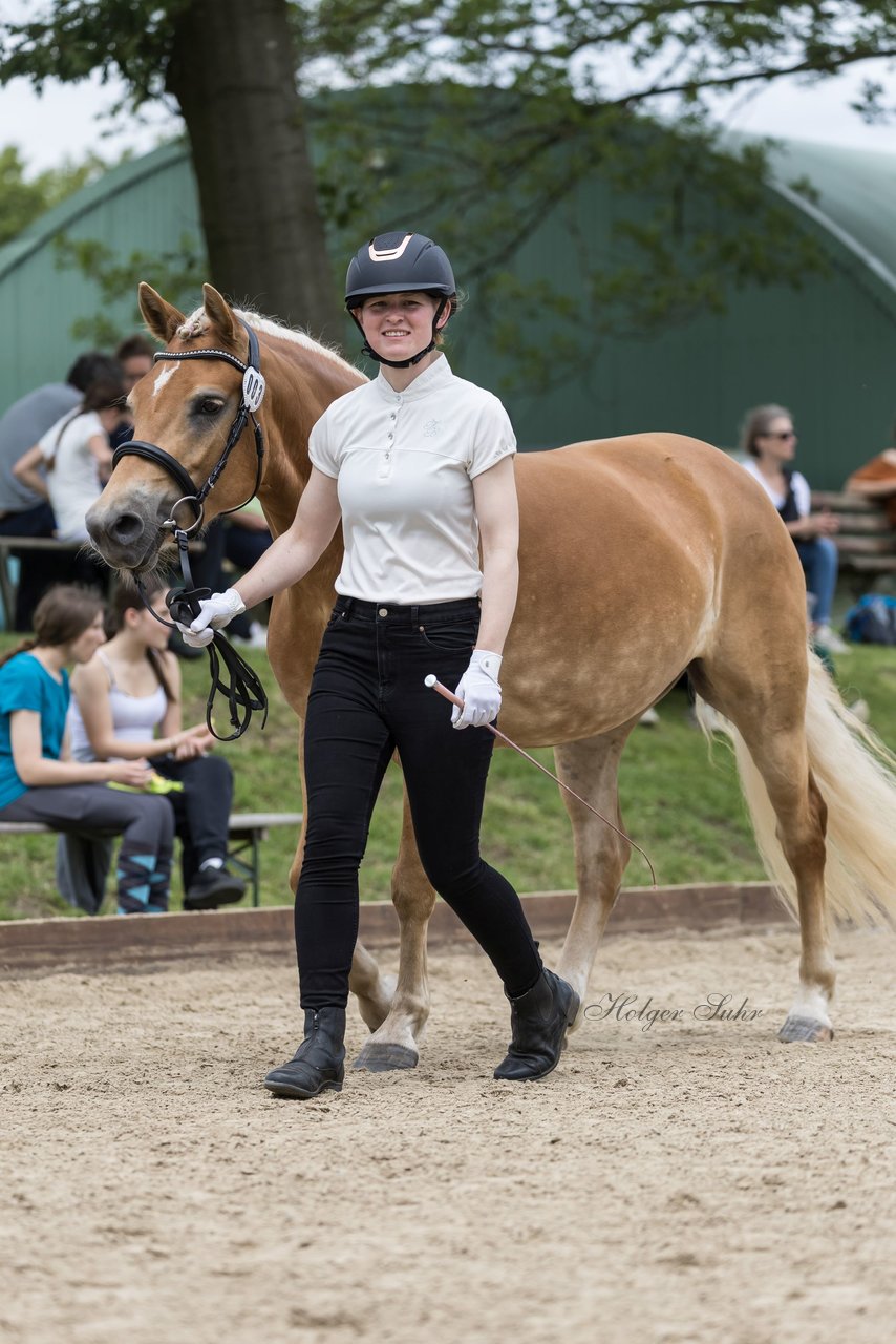 Bild 8 - Pony Akademie Turnier